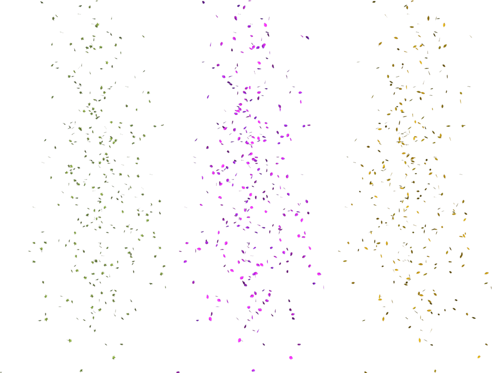 White Petals Png Royalty Free - Illustration (1024x768), Png Download