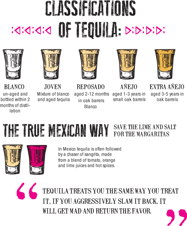 Enjoy Your Tequila As The Mexicans Do, Sipped Slowly - Guinness (640x768), Png Download