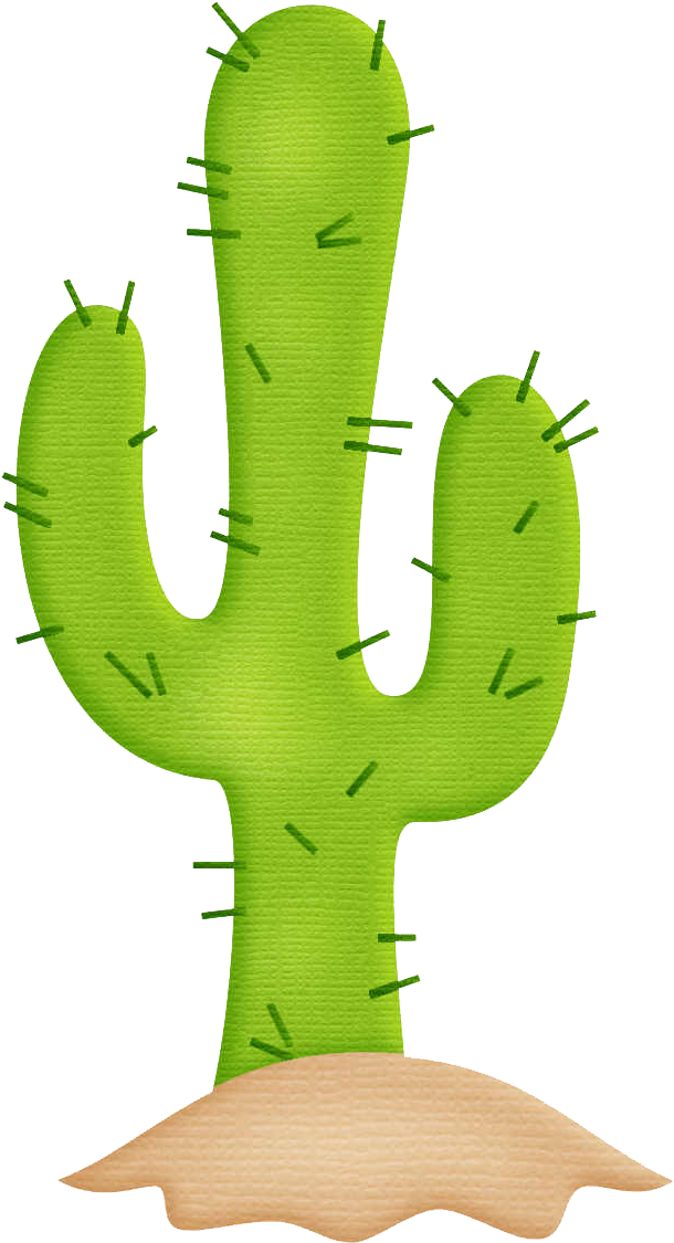 Cactaceae Mexico Paper Transprent (618x1132), Png Download