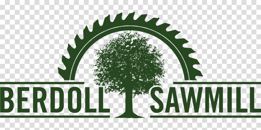 Sierra De Disco Dibujos Clipart Circular Saw Blade - Диск Пильный По Дереву 32 * 250 (900x450), Png Download