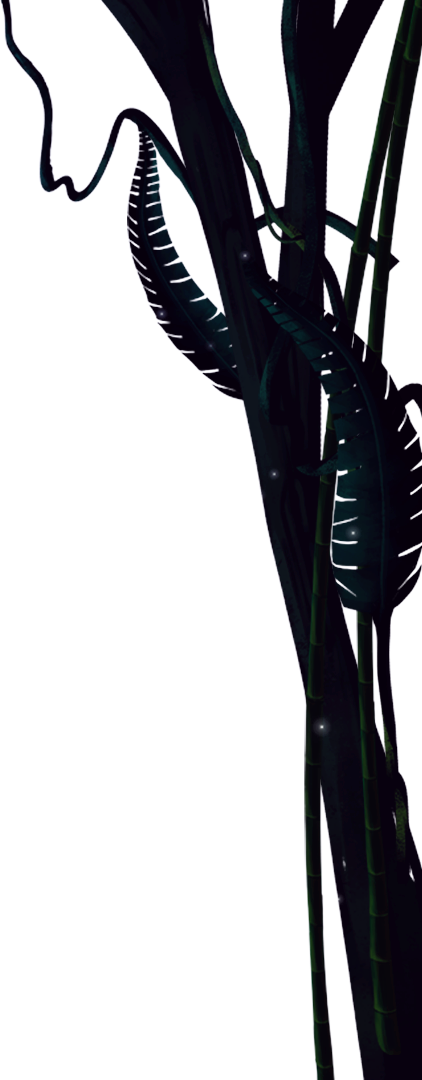 Now Till 19 Feb - Tree (422x1080), Png Download