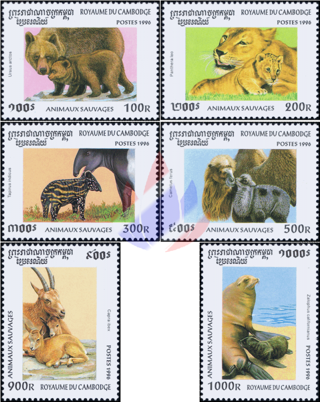 Forest Animals And Her Babies - Cambodia (800x800), Png Download