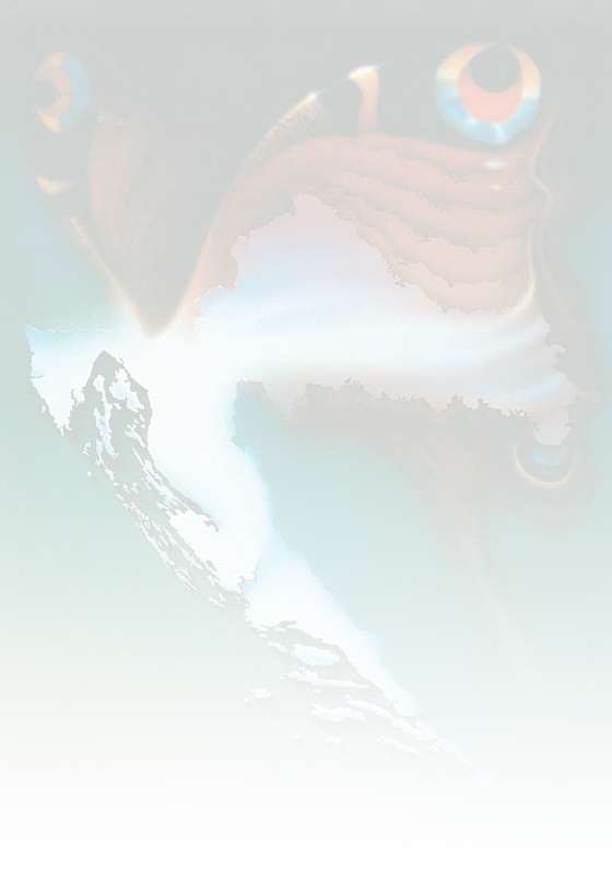 Plitvice Lakes National Park (560x796), Png Download