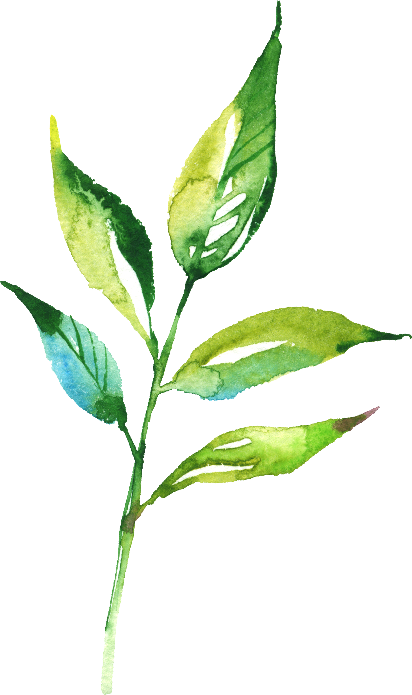 Watercolour - Flower (1361x2294), Png Download