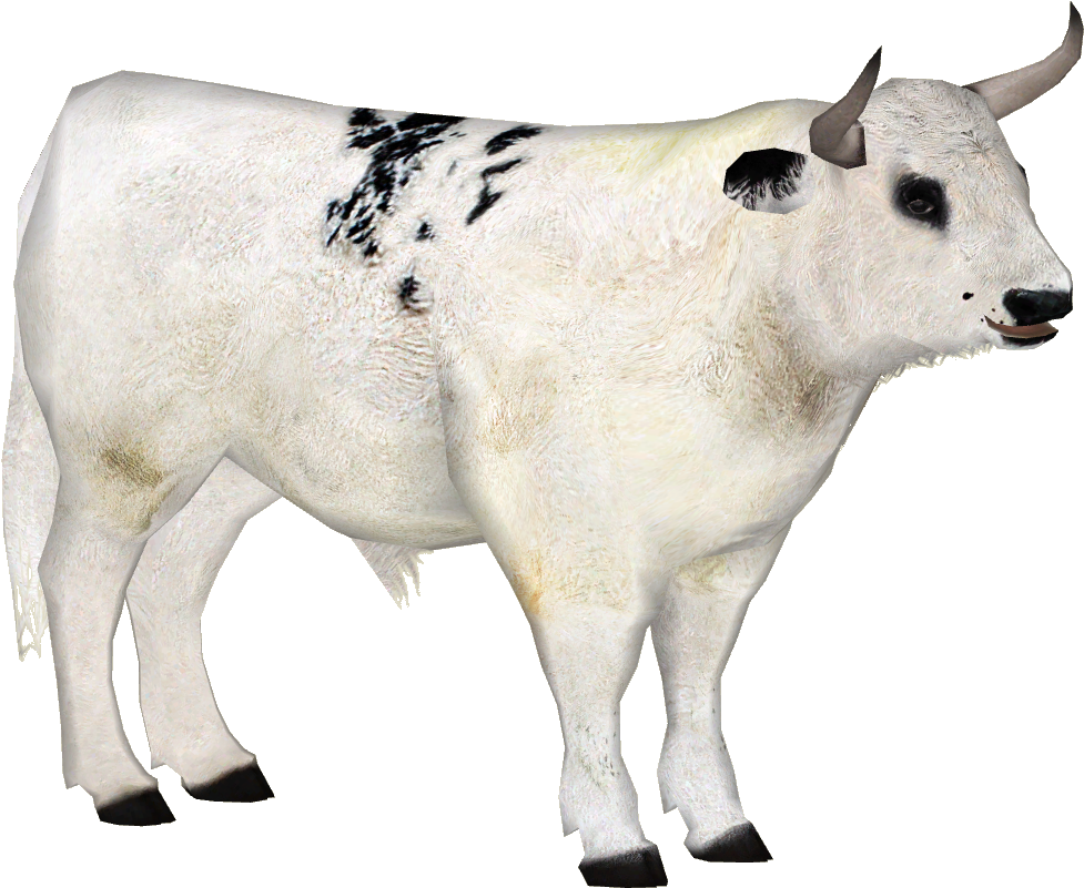 Whitepark2 - Wiki (976x976), Png Download