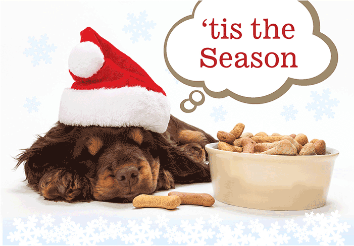Peace & Joy Dog Bones - Puppy (800x600), Png Download