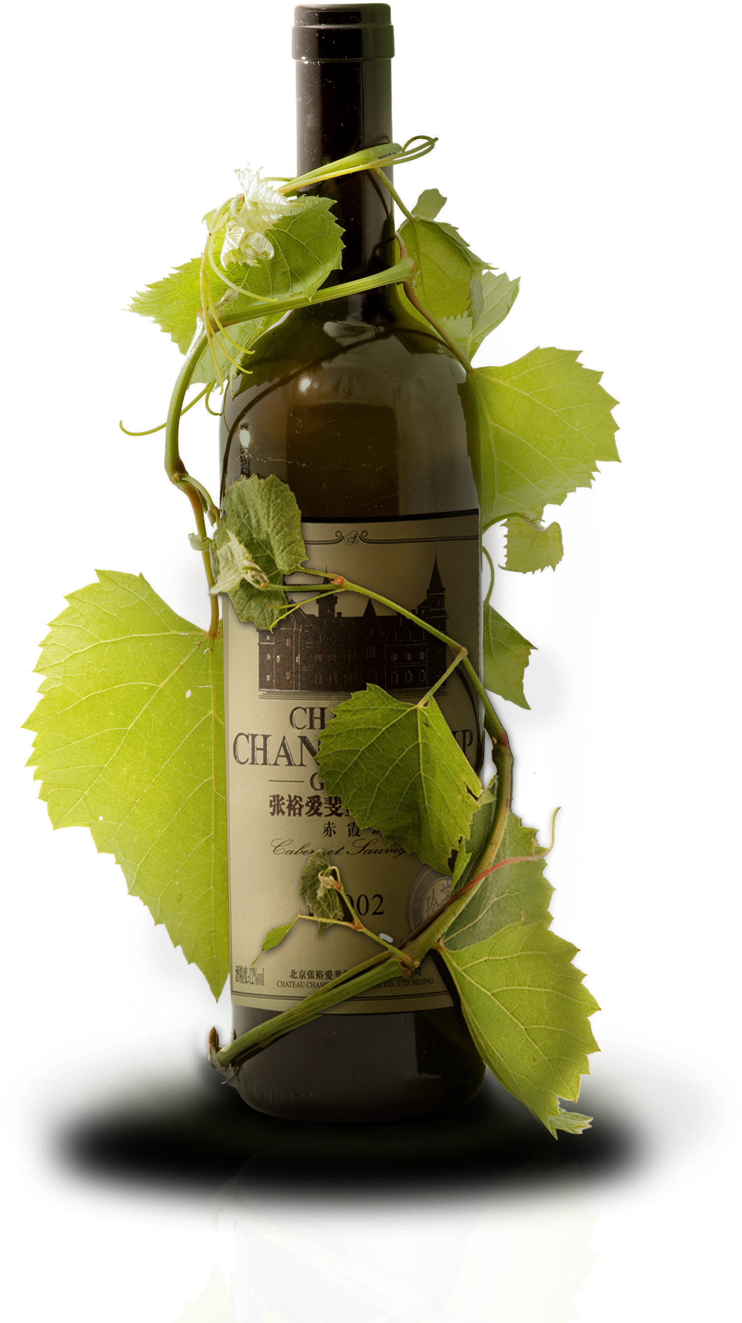 Red Poster Grapes Material Transprent Png Free - Red Wine (2480x3508), Png Download