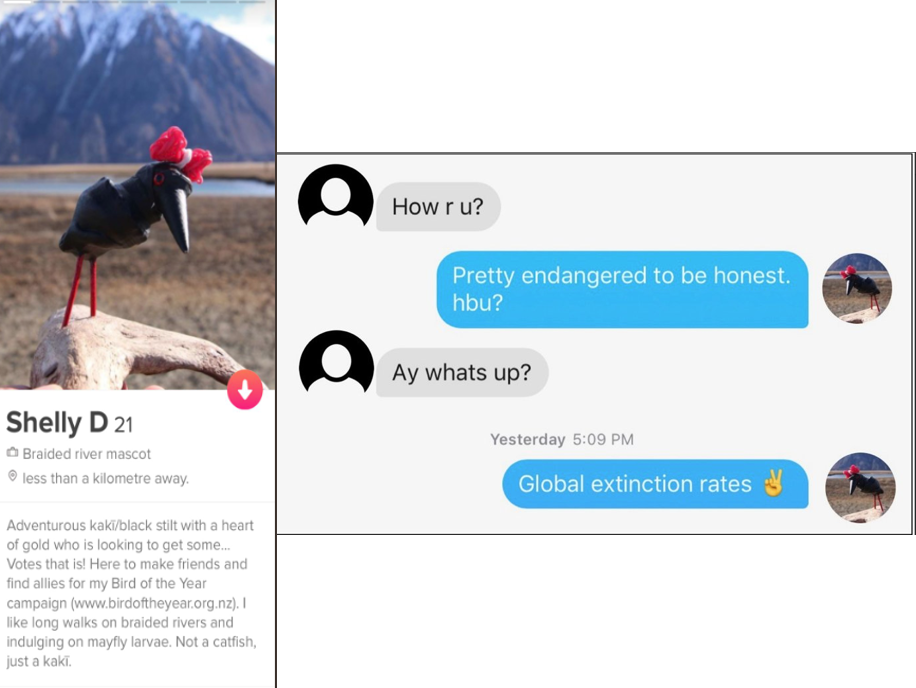 Tinder (916x688), Png Download