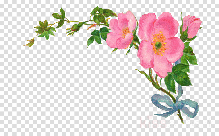 Love Flower Poetry In Urdu (900x560), Png Download