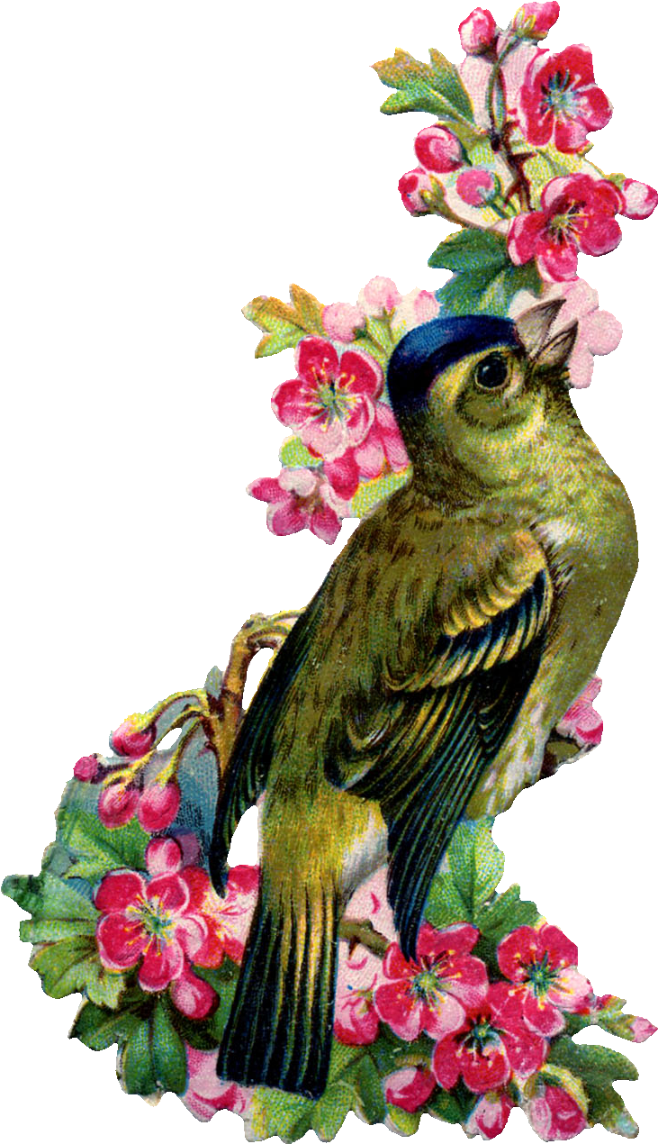 A Couple Of Vintage Images For Todaythe Bird And Flowers - Mothers Day To Cousin (828x1350), Png Download