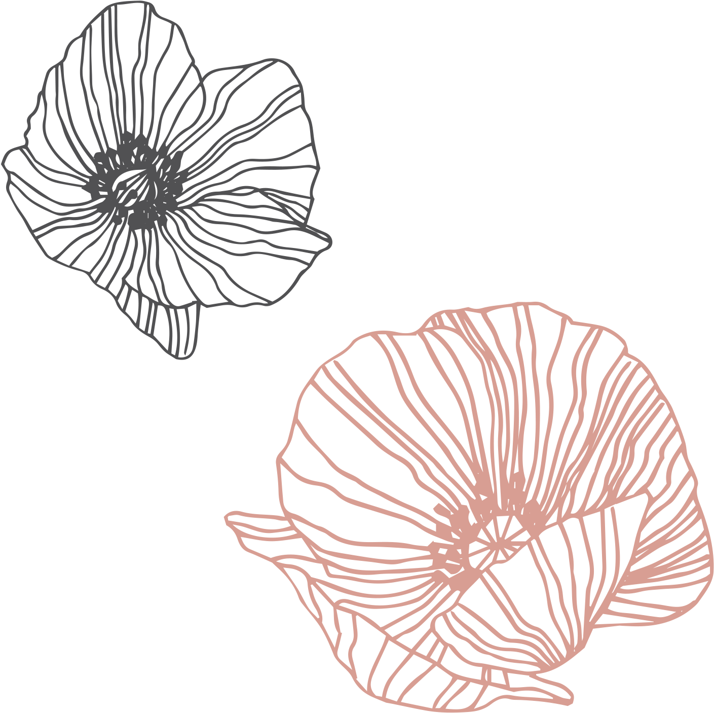 Flower (1554x1560), Png Download