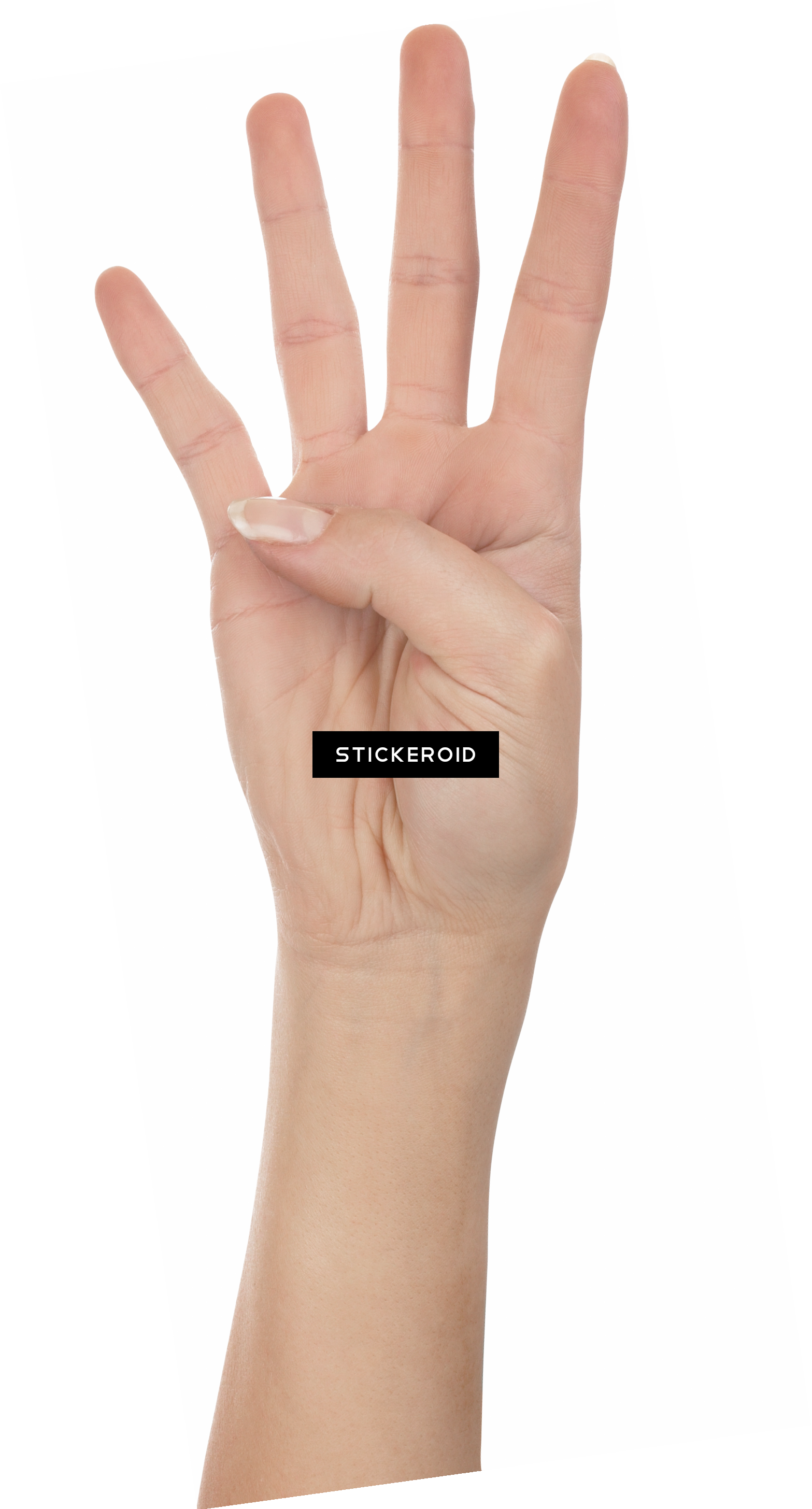 Finger Touch Fingers - Photography (1567x2912), Png Download