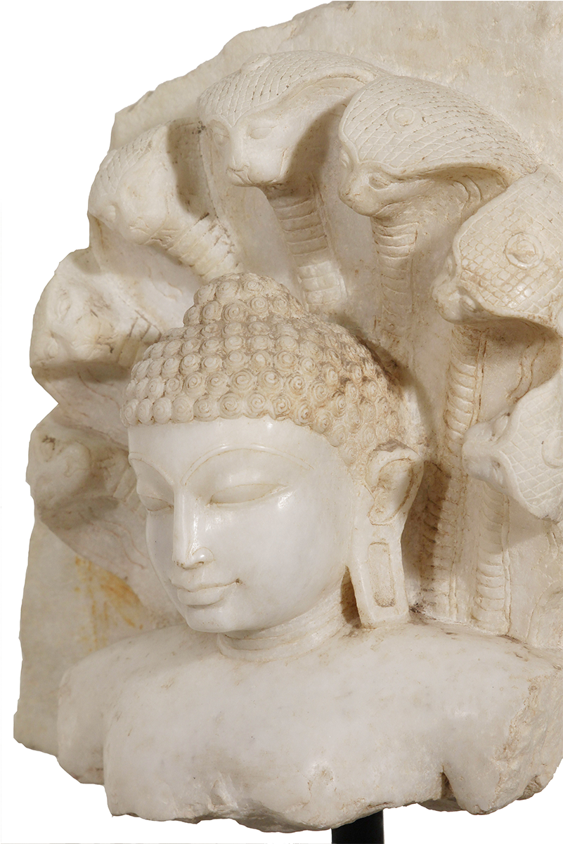 Bust (1200x1200), Png Download