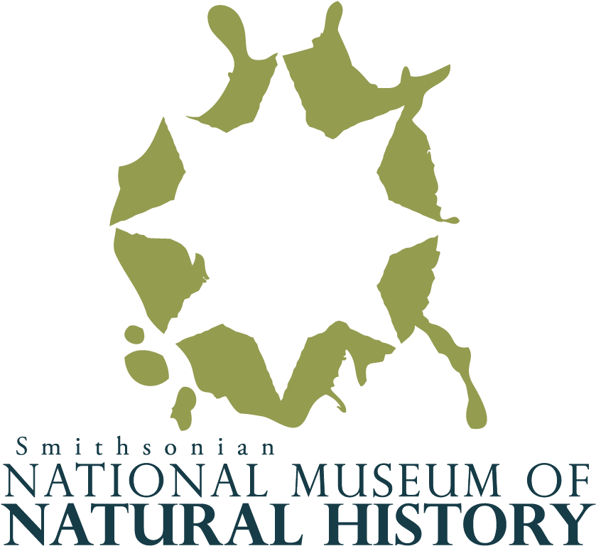 While The Logo Is Only Loosely Based On Grunge And - Graphic Design (900x900), Png Download