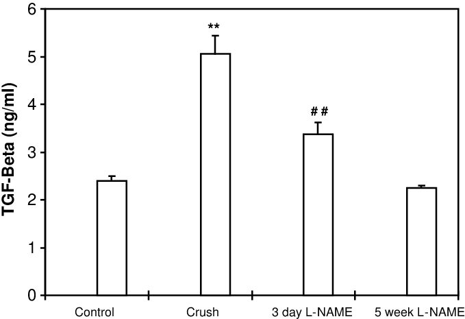 Tgf B Concentrations In Tendon Organ Cultures From - Diagram (679x465), Png Download