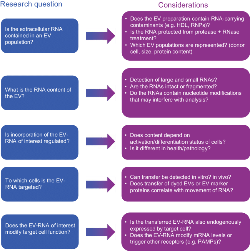 Considerations For Analysing The Nature And Function - International Society For Extracellular Vesicles (850x853), Png Download