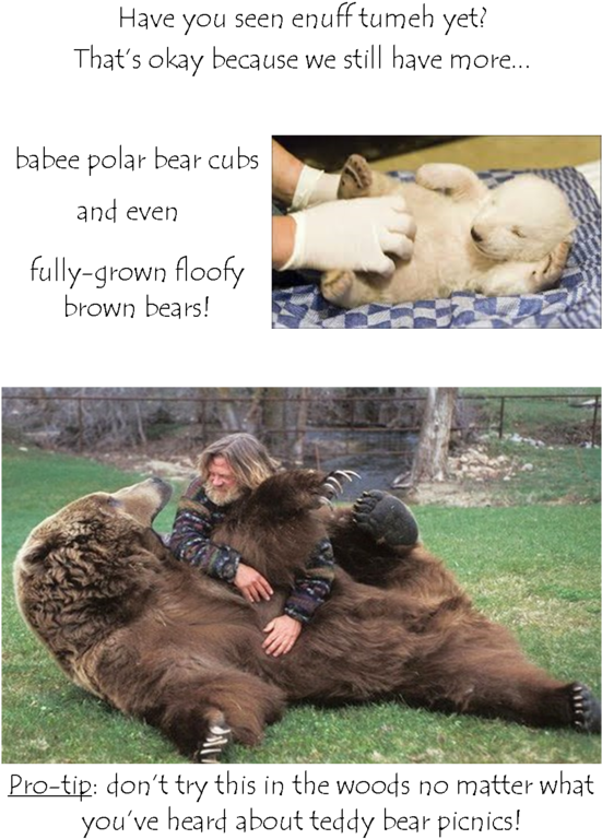 13 - Baby Polar Bear (550x783), Png Download