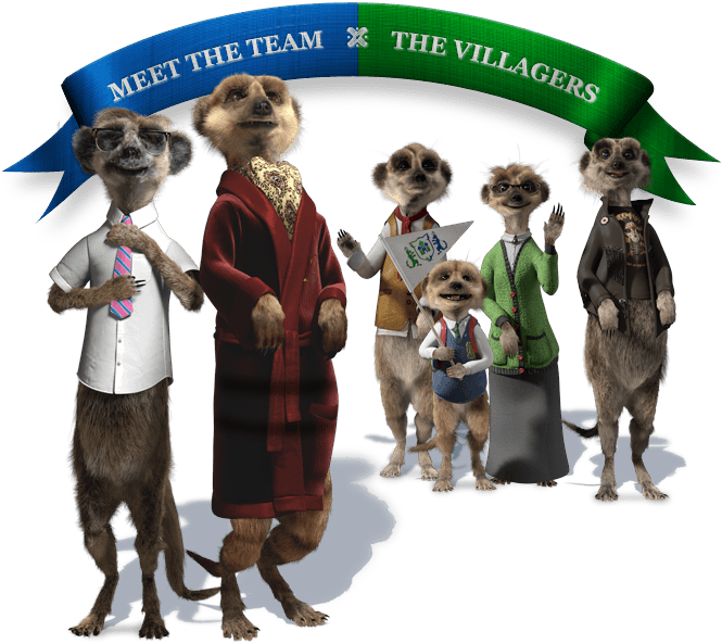 Compare The Meerkat Names - Compare The Meerkat (665x593), Png Download