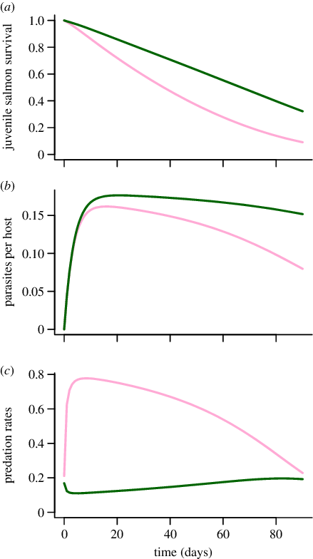 Predicted Survival Of Pink Salmon (light Line - Pink Salmon (439x784), Png Download