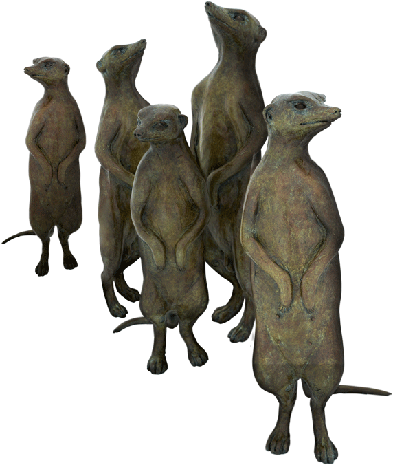 Meerkat Png (675x675), Png Download