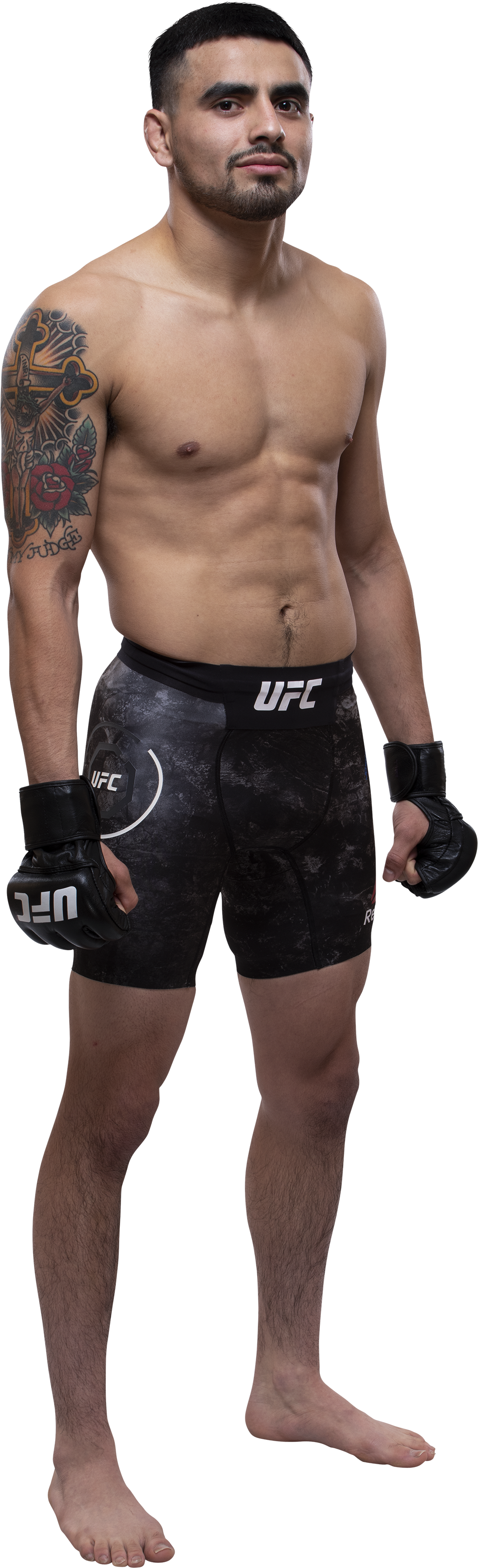 Ultimate Fighting Championship (1013x3324), Png Download