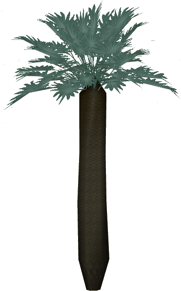 Mexican Blue Palm (583x583), Png Download