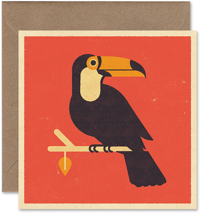 Toucan V=1494511377 - Toucan (700x991), Png Download