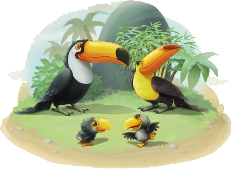 Toucan Family - Wiki (794x577), Png Download