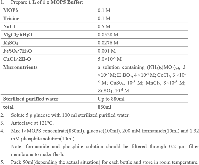 Preparation Of Mops Broth, Agar And Semi-solid Lb Medium - Document (704x588), Png Download