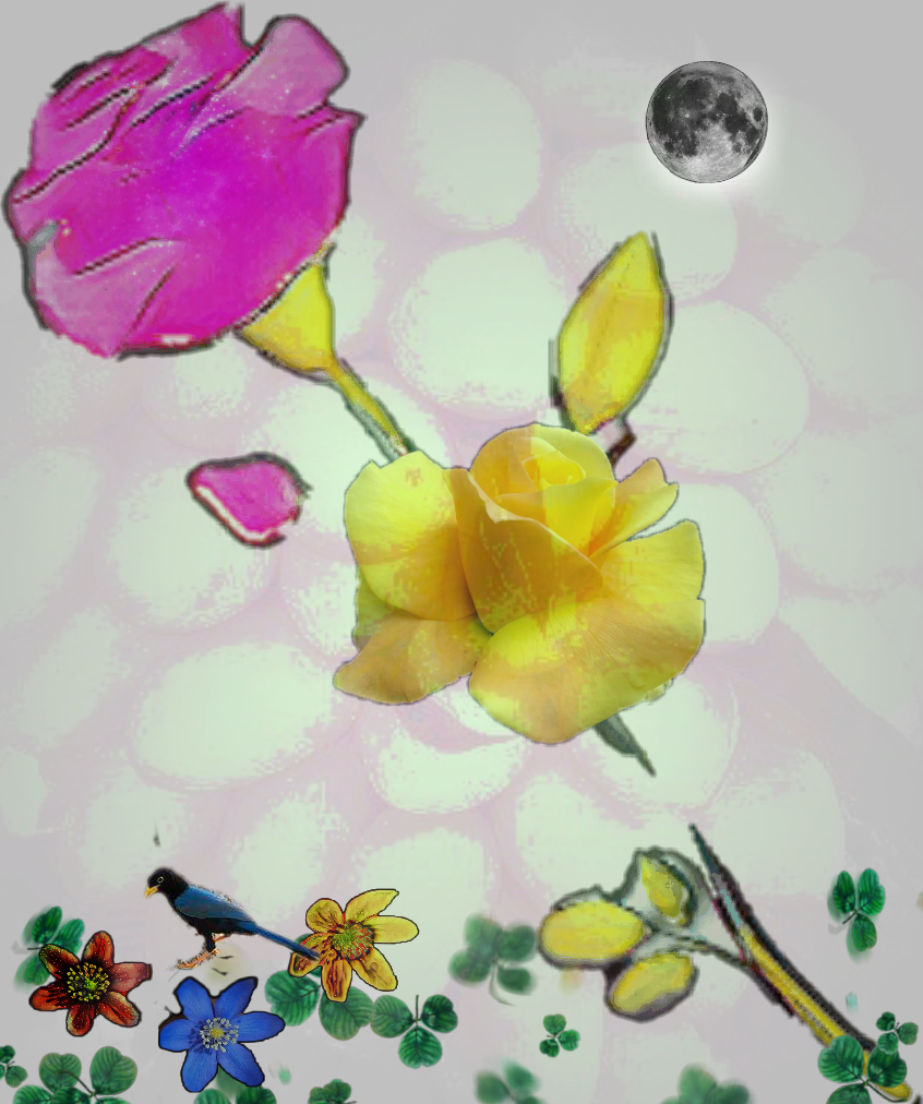 Garden Roses (846x1012), Png Download