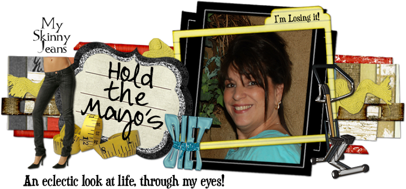 Hold The Mayos - Fun (840x389), Png Download
