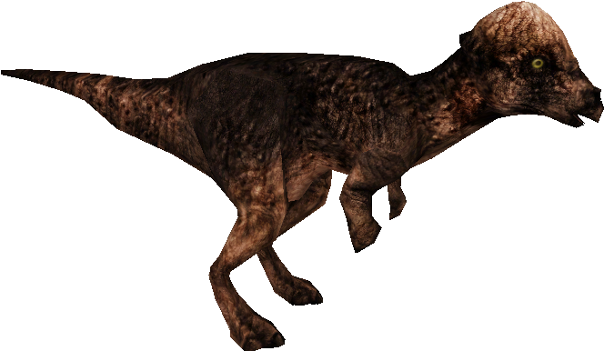 Pachycephalosaurus - Lesothosaurus (885x885), Png Download