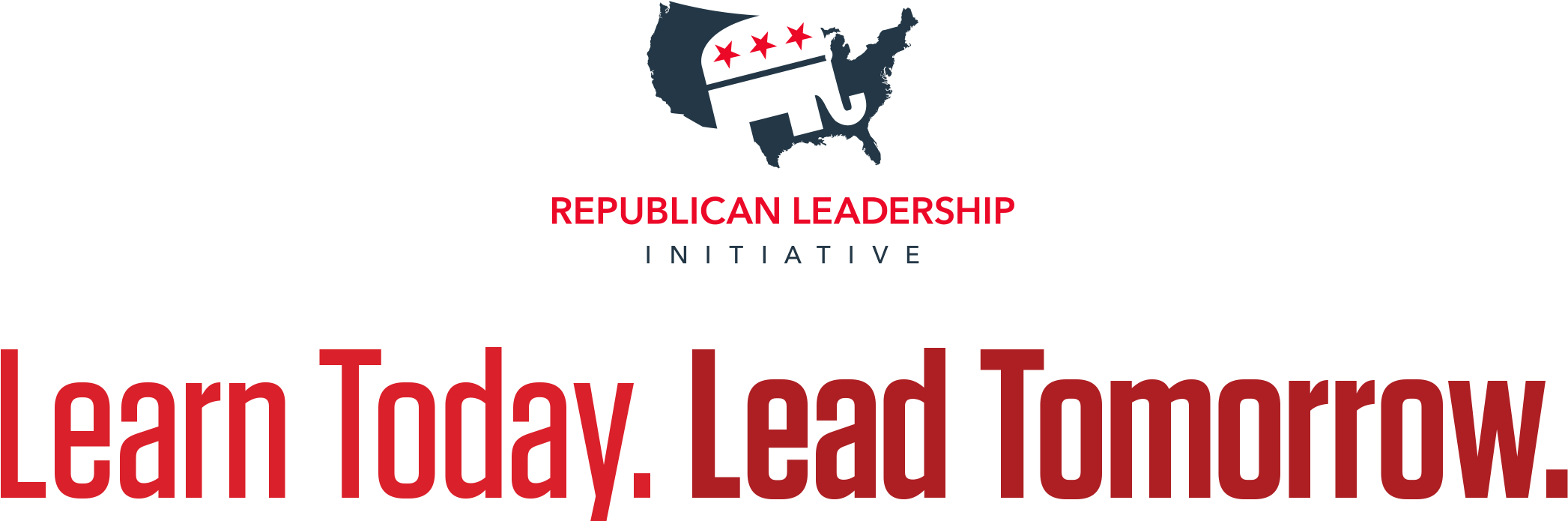 Picture - Society6 'merica Rectangular Pillow - Small (17" X (2166x732), Png Download