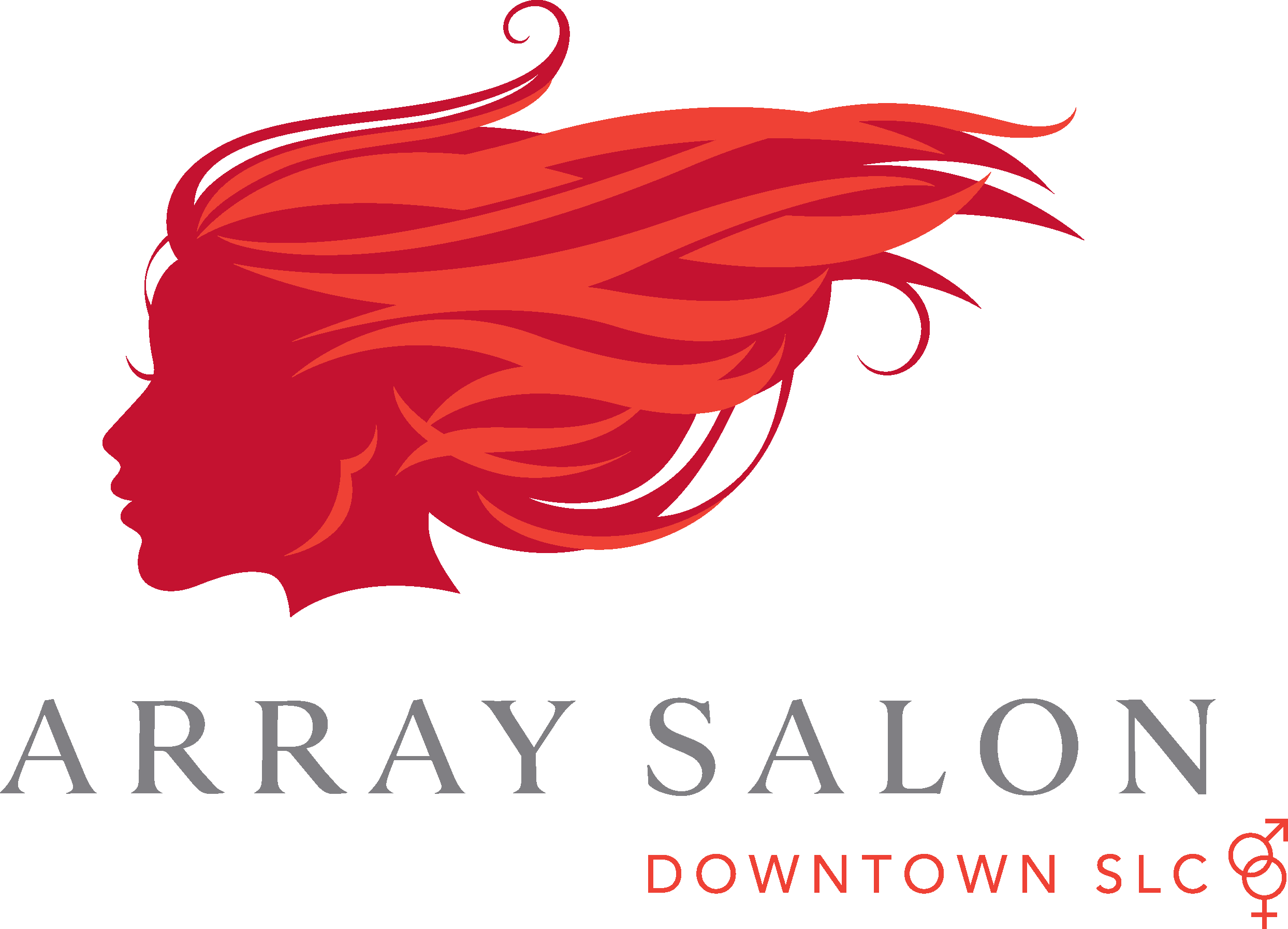 Salon Logo Red (2488x1794), Png Download