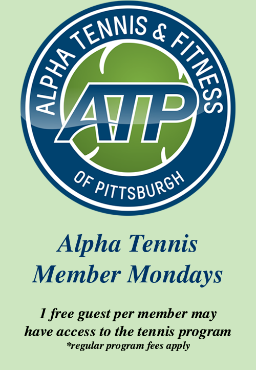 Alpha Tennis Background - Circle (500x722), Png Download