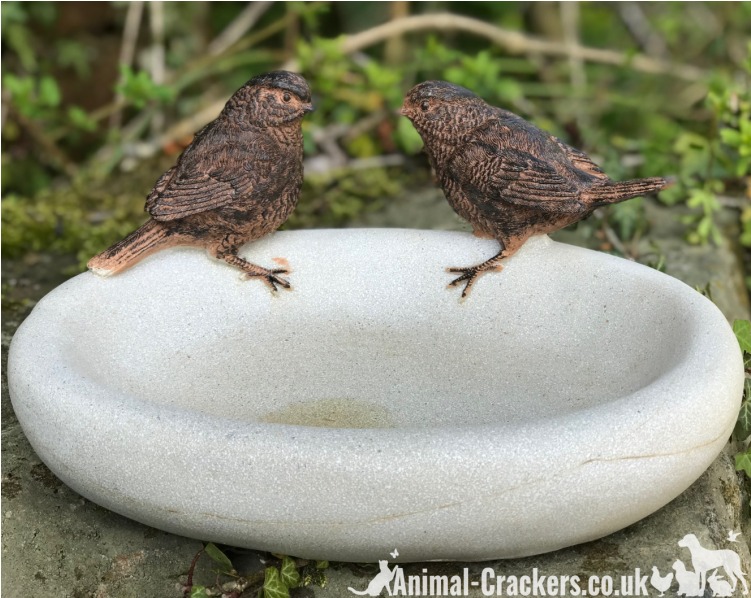 Bird Bath/feeder - Bird Bath & Feeder (750x900), Png Download