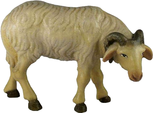 Wood (600x600), Png Download