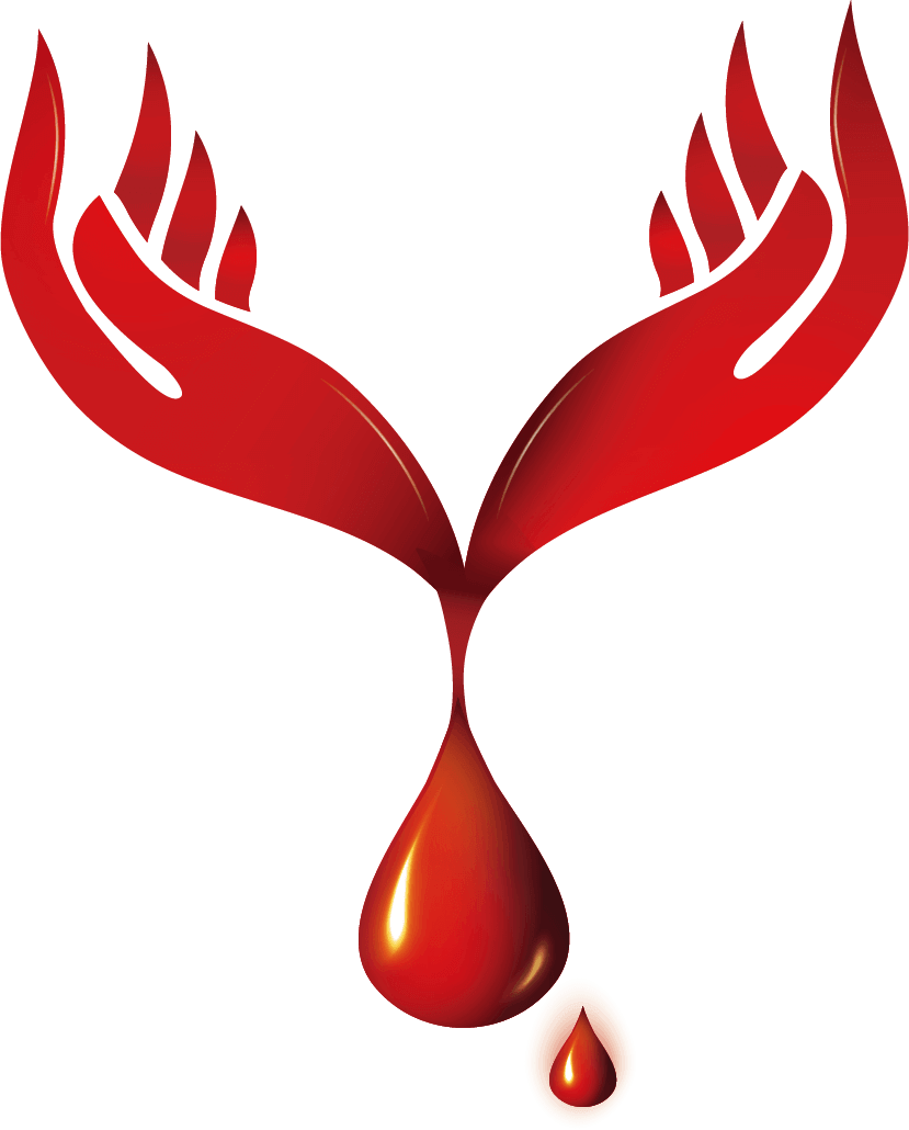 Blood Donation Png Photos - Blood Donation Day Png (800x994), Png Download