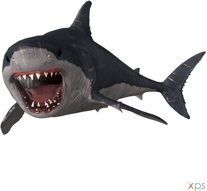 Megalodon Png Photo - Megalodon (863x926), Png Download