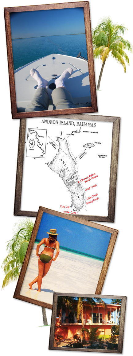 Professional Guides Will Wisk You Away For Ultimate - New York (432x1200), Png Download