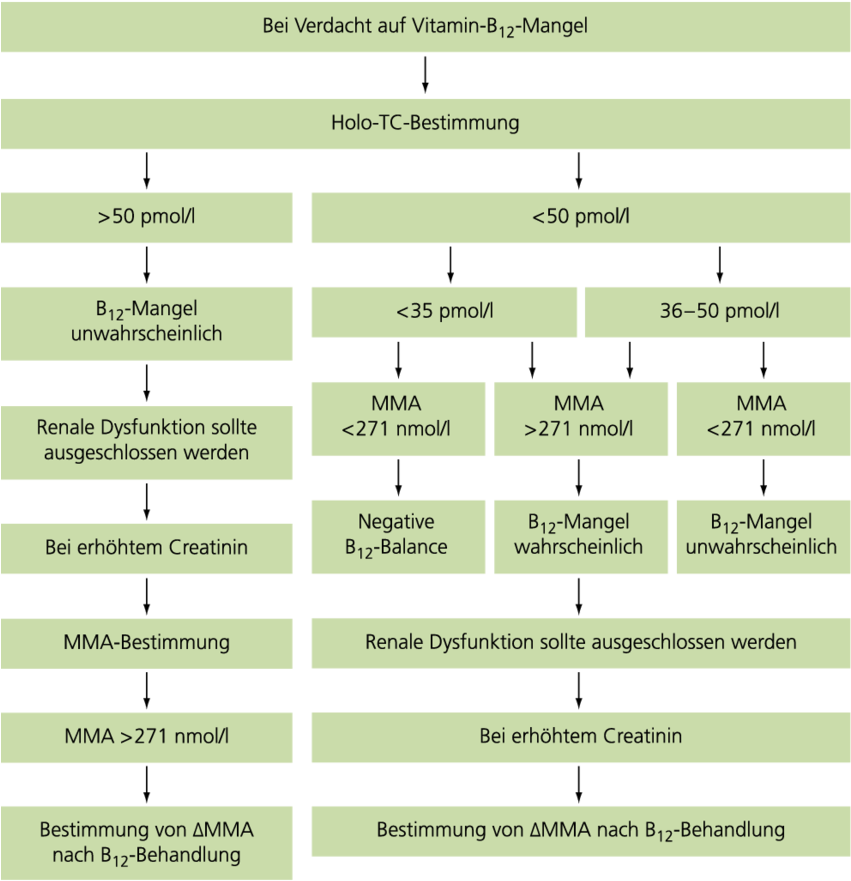 Laborchemisches Vorgehen Bei Verdacht Auf Vitamin B - Methylmalonic Acid (850x889), Png Download