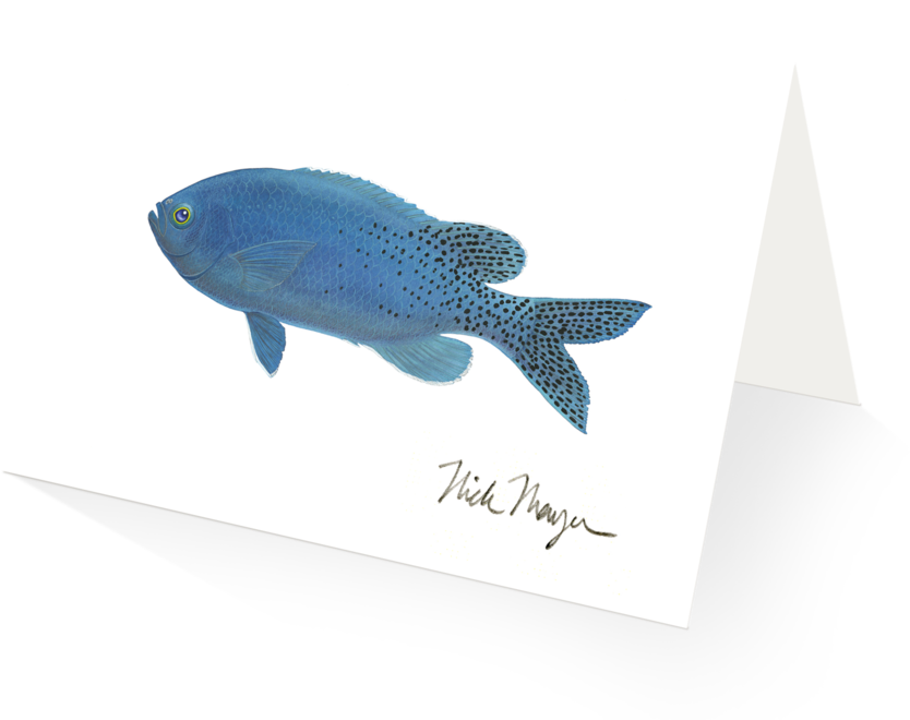 Blacksmith (1024x825), Png Download