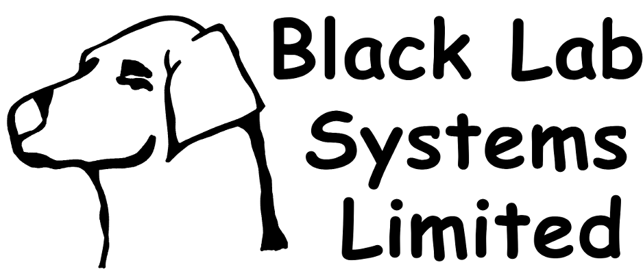 Creative Industrial Technology Solutions - Daphnia Circulatory System (1000x408), Png Download