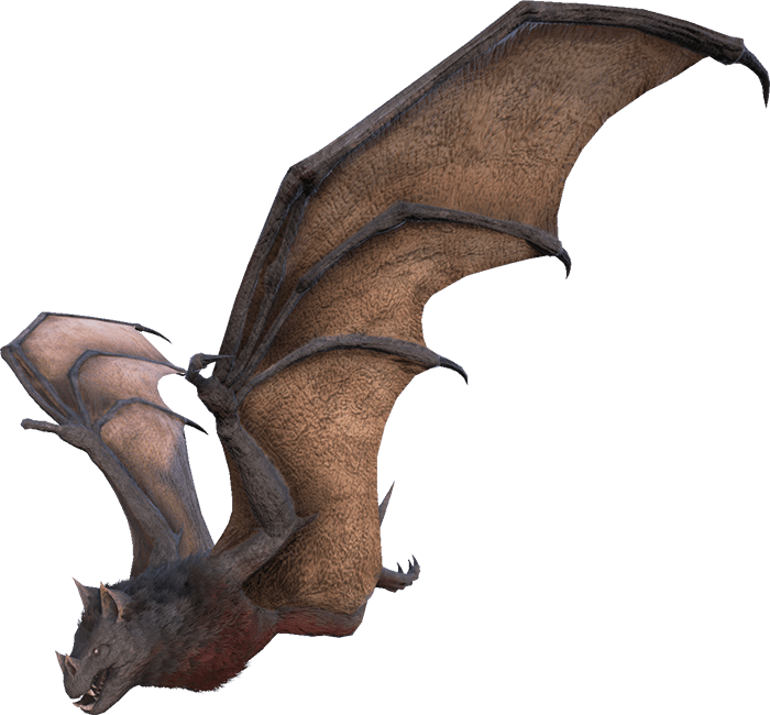 Hesperornis (700x650), Png Download