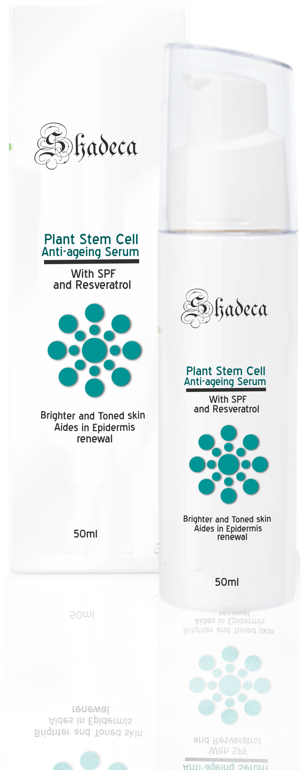 Plant Stem Cell (2690x2690), Png Download