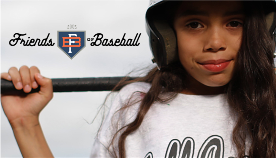 We Support Friends Of Baseball - Baseball (1920x516), Png Download