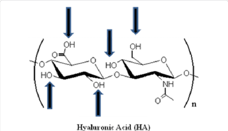 Spatial Structure Of Hyaluronic Acid - Hyaluronan (761x437), Png Download