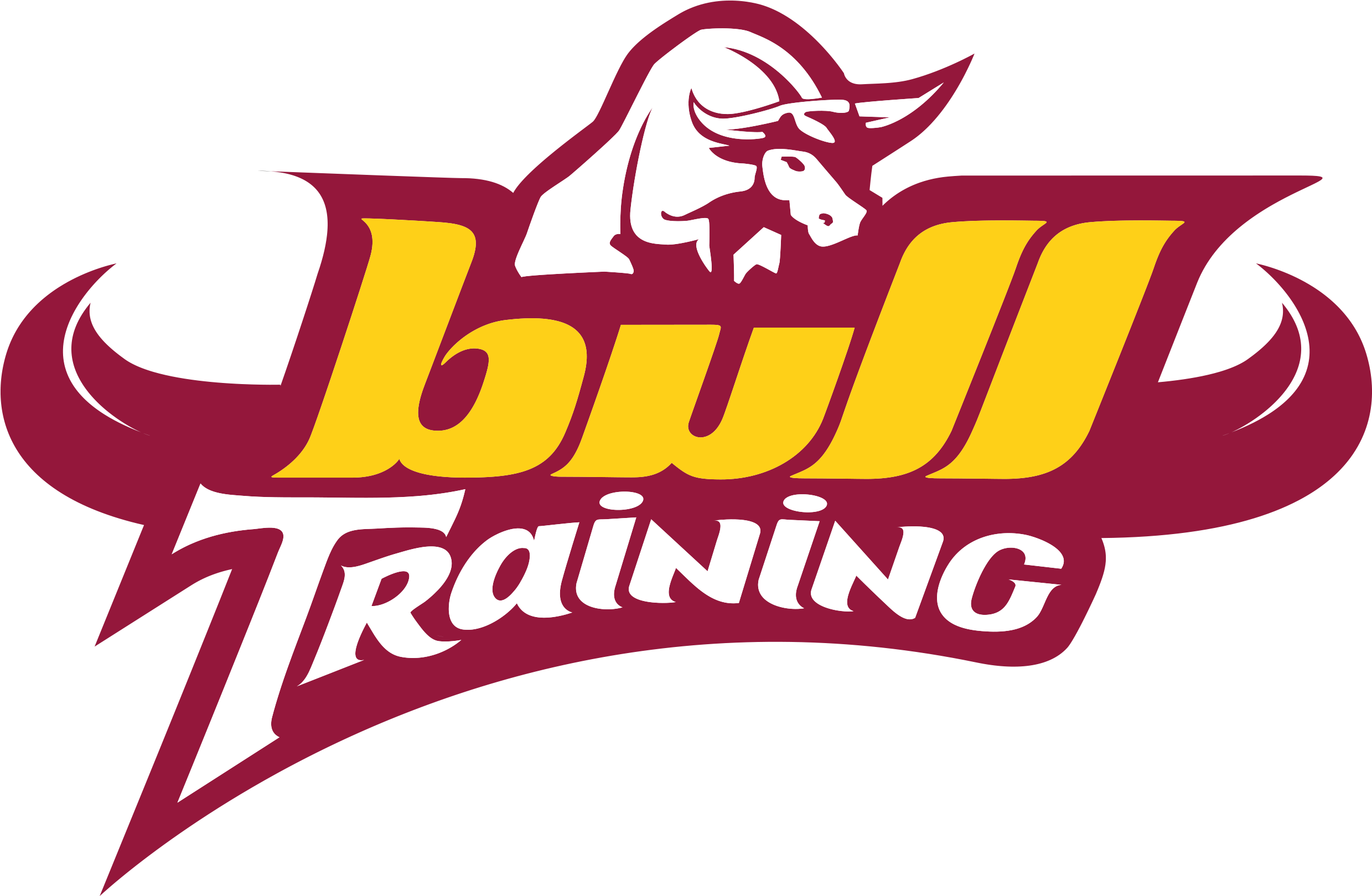 Marque Bull Training - Graphic Design (3000x3000), Png Download