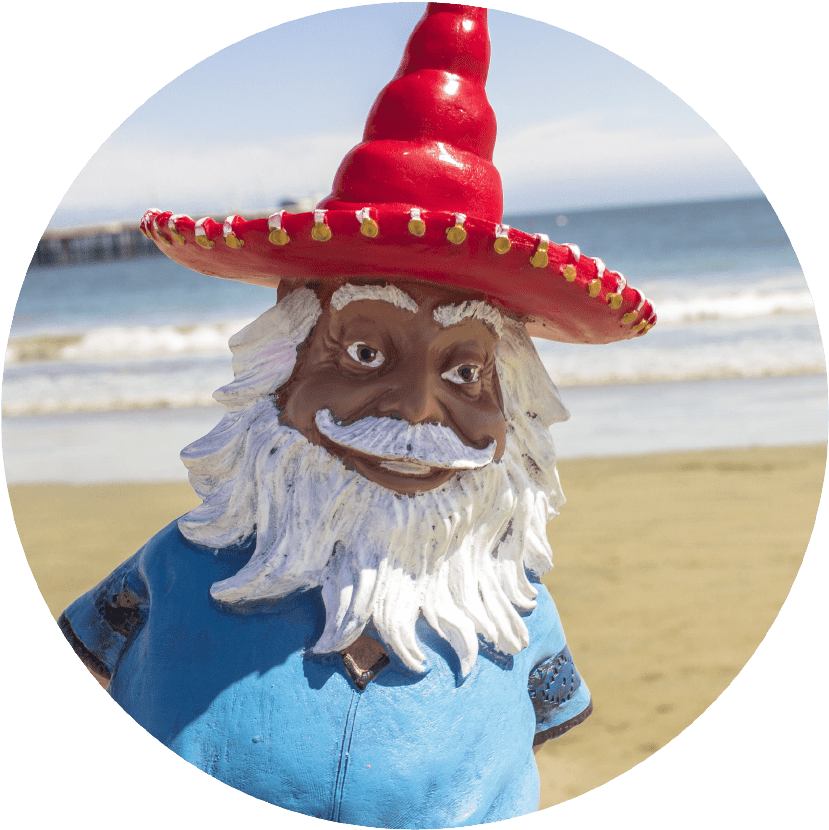 The Most Interesting Gnome In The World (840x840), Png Download