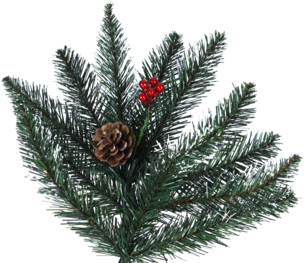 Christmas Tree Red Berry - Weihnachtsbaum Red Berry (600x600), Png Download